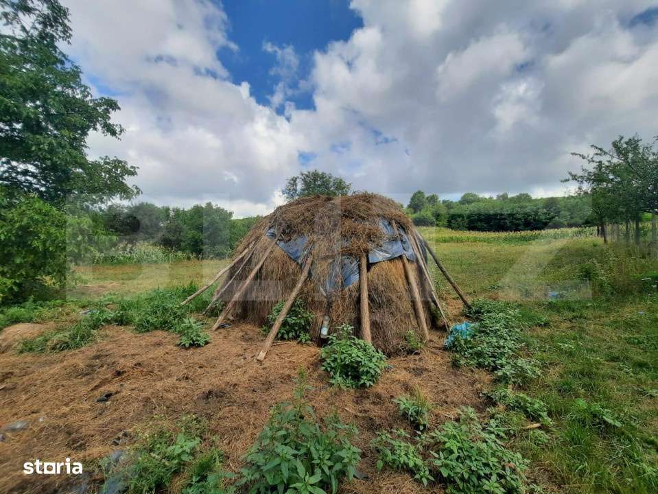 Teren 5300 mp, drum asfaltat, aproape de padure, Dobrovat - Imagine principală: 5/5