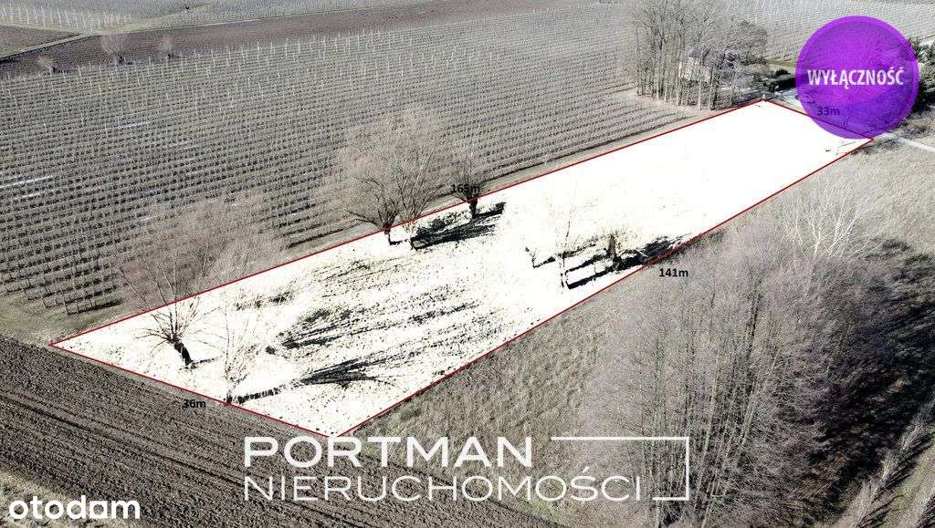 Piękna działka w Wildze, okolicy cichej i zielonej-1