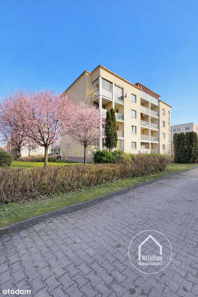 Kotarbińskiego | 3 pok. | 66,1 m² | 2 piętro | loggia| piwnica | 2000r-3