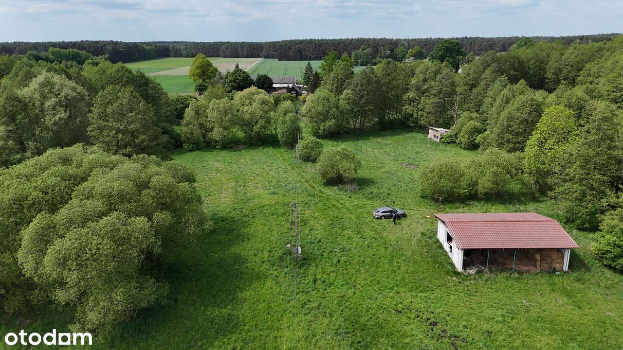 Nowe Jastrzebsko Grunt Rolny z możliwością budowy - Pełny obrazek: 5/5