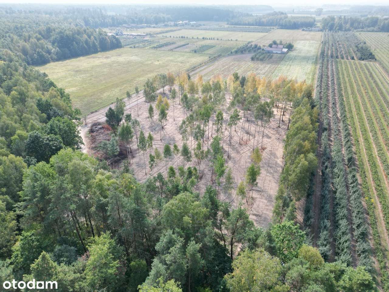 Wyjątkowe działki budowlane na sprzedaż | Zimnice - Pełny obrazek: 4/12