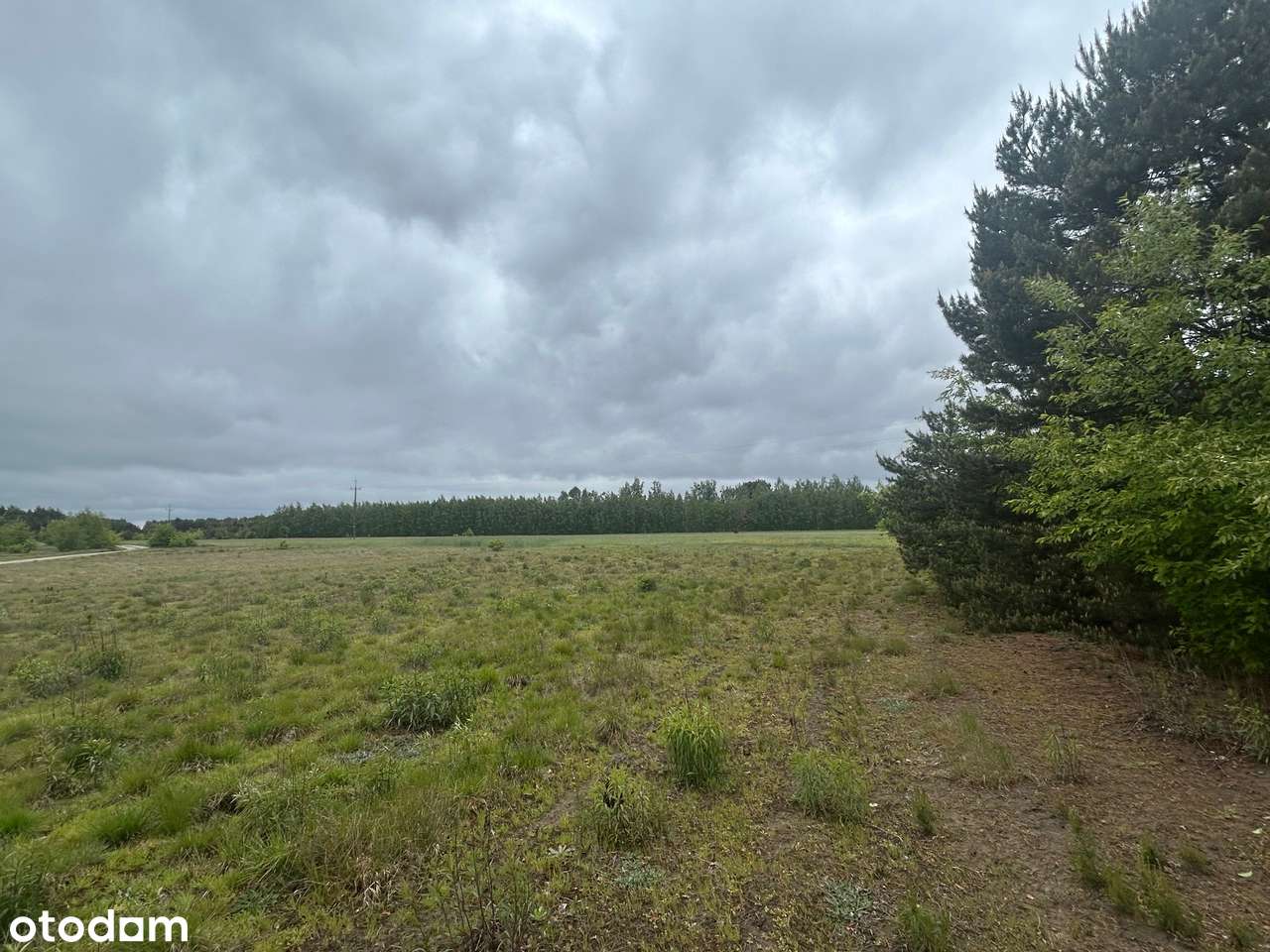 Działka budowlana 1301 m² – Łacha k. Serocka, blisko Narwi - Pełny obrazek: 4/9