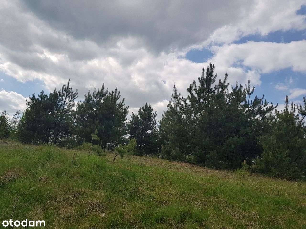 Wyczechowo Działka budowlana-3
