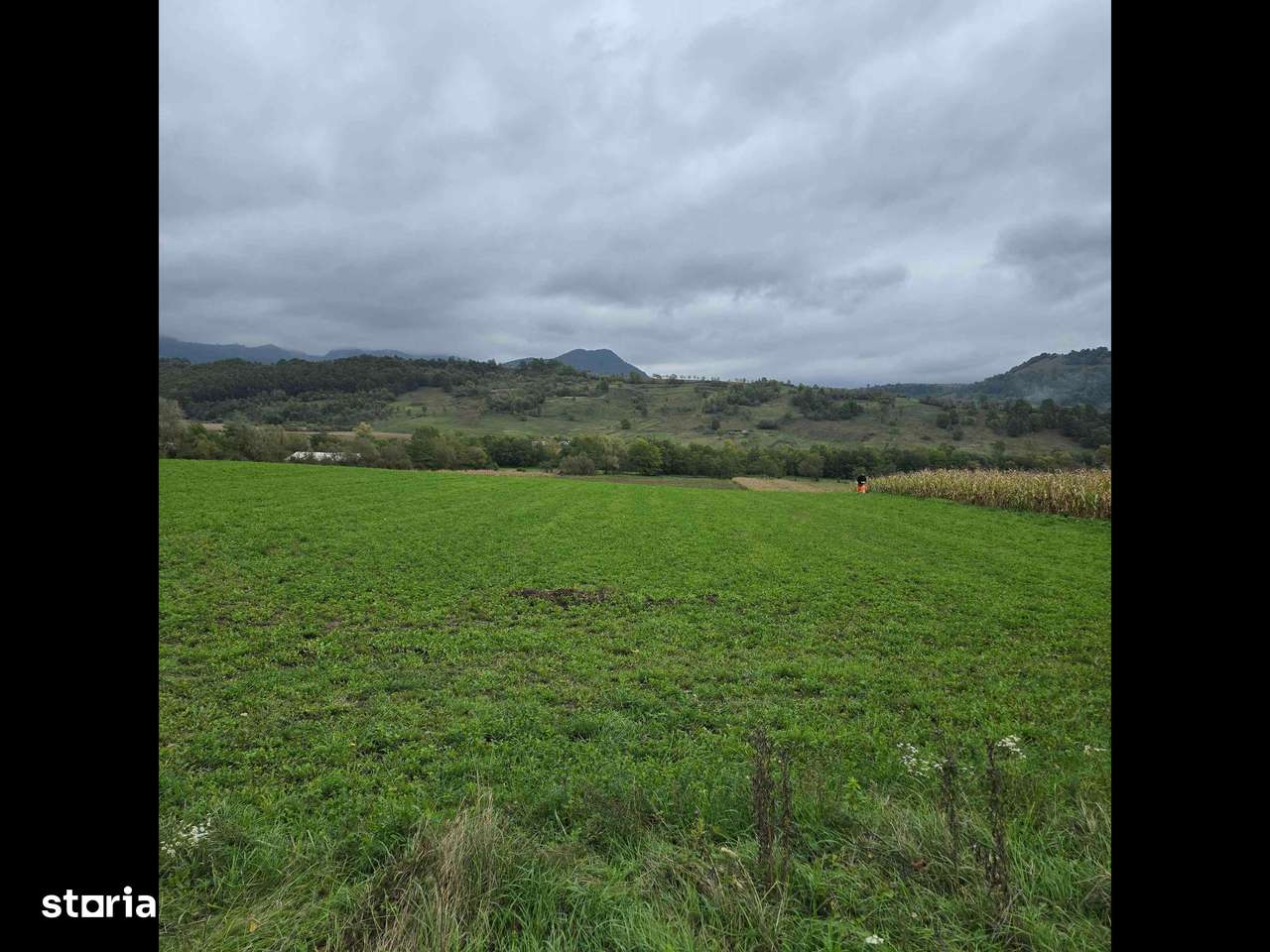 Vând teren drept la asfalt Certej. - Imagine principală: 2/4