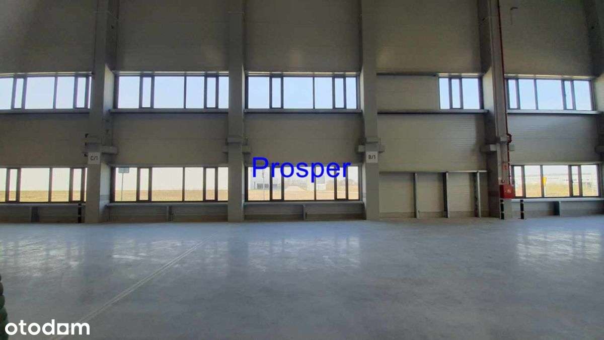 wysoki skład 12m, doki 4szt - Pełny obrazek: 4/5