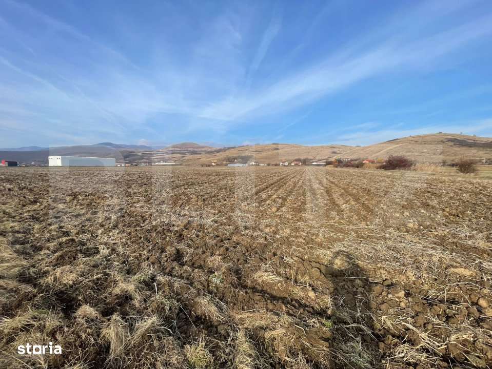 Teren Intravilan Sard, 13000mp - Imagine principală: 2/3