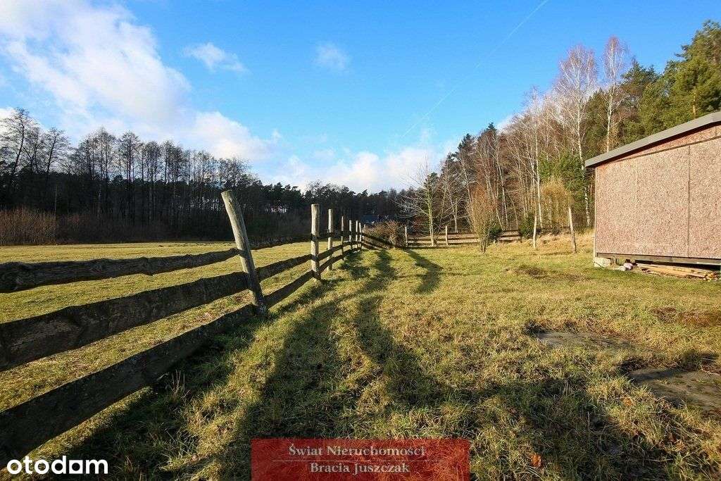 Las - cisza, spokój-4