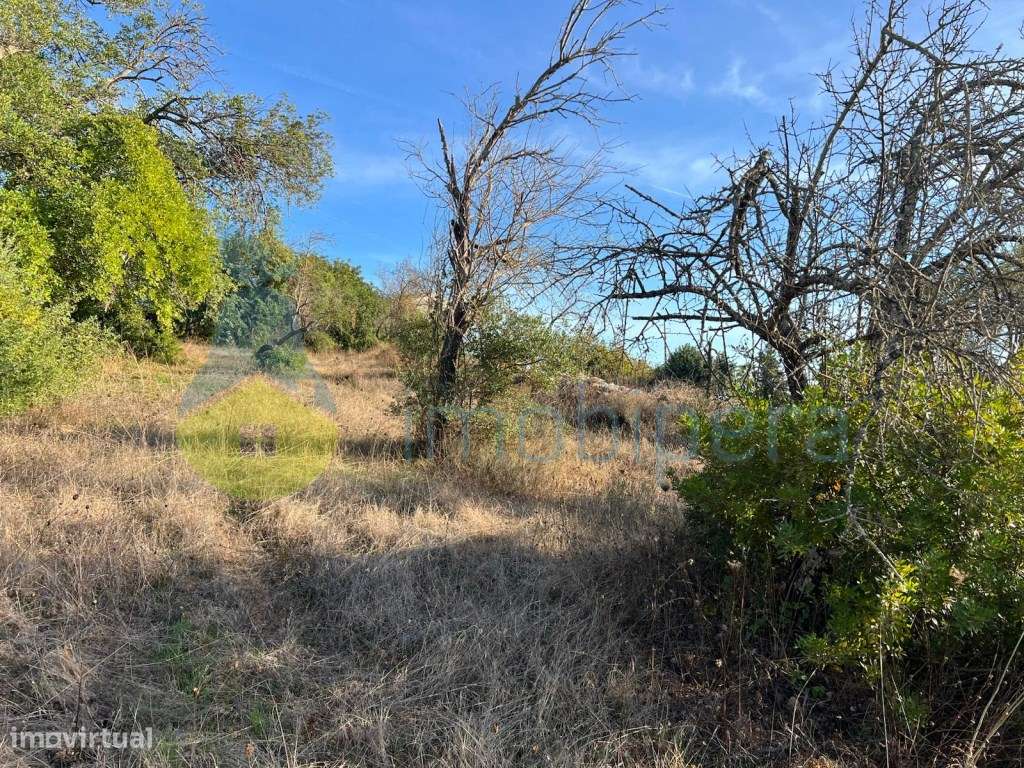 TERRENO RÚSTICO EM ZONA PREVILIGIADA ELECTRICIDADE E VISTA DESLUMBR... - Grande imagem: 5/10