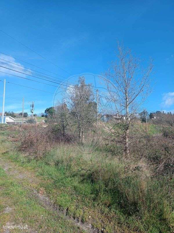 Terreno  para venda - Grande imagem: 3/5