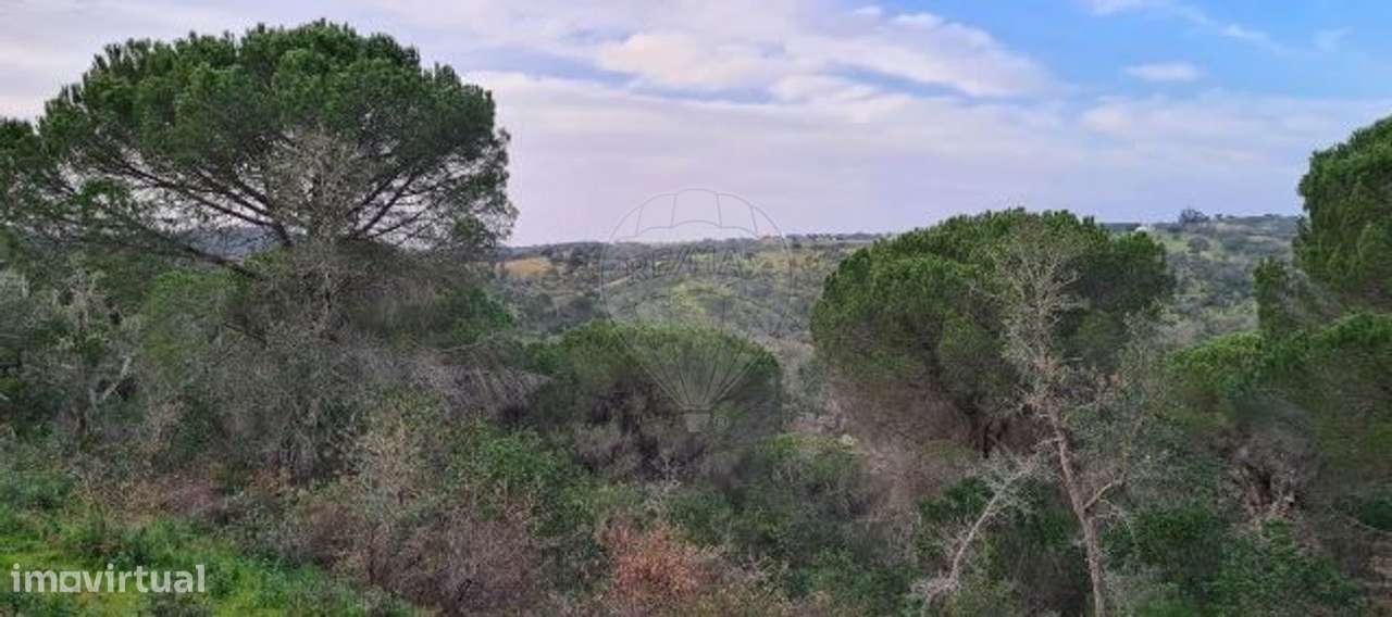 Terreno  para venda - Grande imagem: 5/9