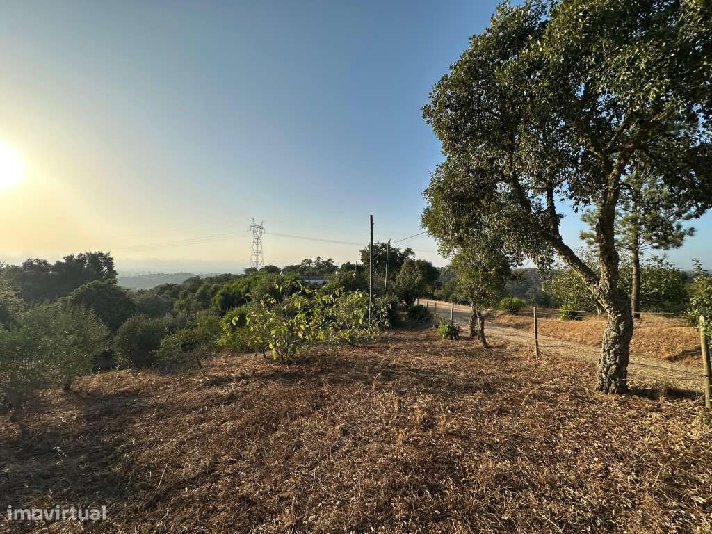 Monte Alentejano com 3,4 ha de natureza e potencial turístico-45