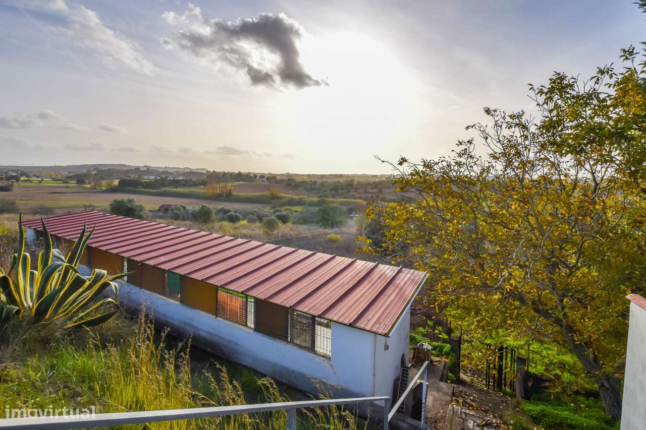 Moradia T3 em Carril - Torres Novas-9