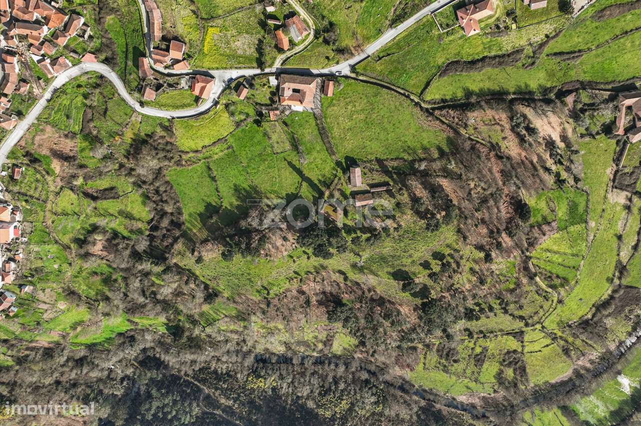 Quinta com 74.400 m2 em Penalonga, Ribeira de Pena - Vila Real - Grande imagem: 5/42