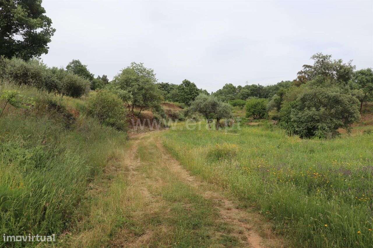 Quinta / Fundão, Pêro Viseu - Grande imagem: 4/10
