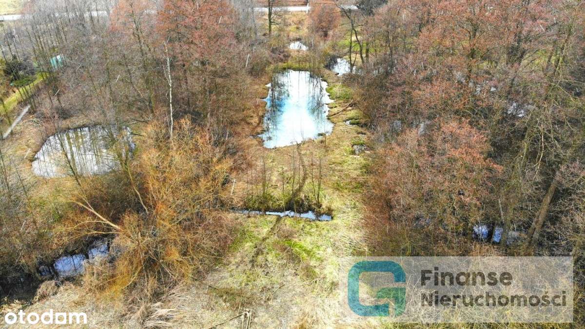 Działka ze stawem w Babsku, 2400 m2 - Pełny obrazek: 5/11