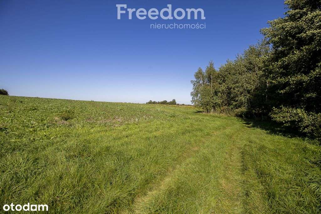 Działka rolna 15 ar – Trzciana, gmina Świlcza - Pełny obrazek: 3/9