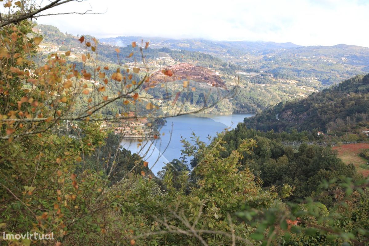 Terreno  para Venda