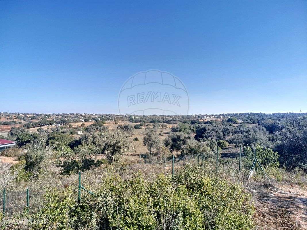 Quinta  para venda-22