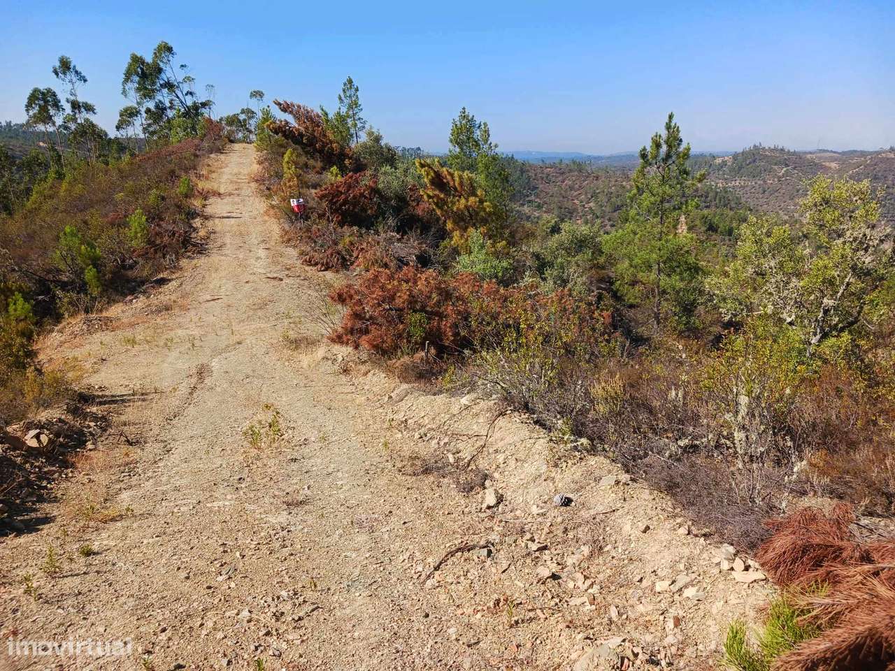 Terreno-2