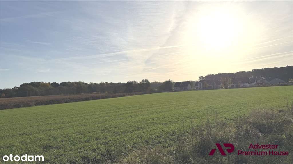 Działka z możliwością podziału blisko lasu - Pełny obrazek: 5/7