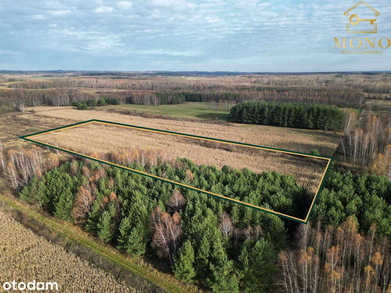 Działka 1,61 ha ok. 10 km od Buska-Zdrój-12