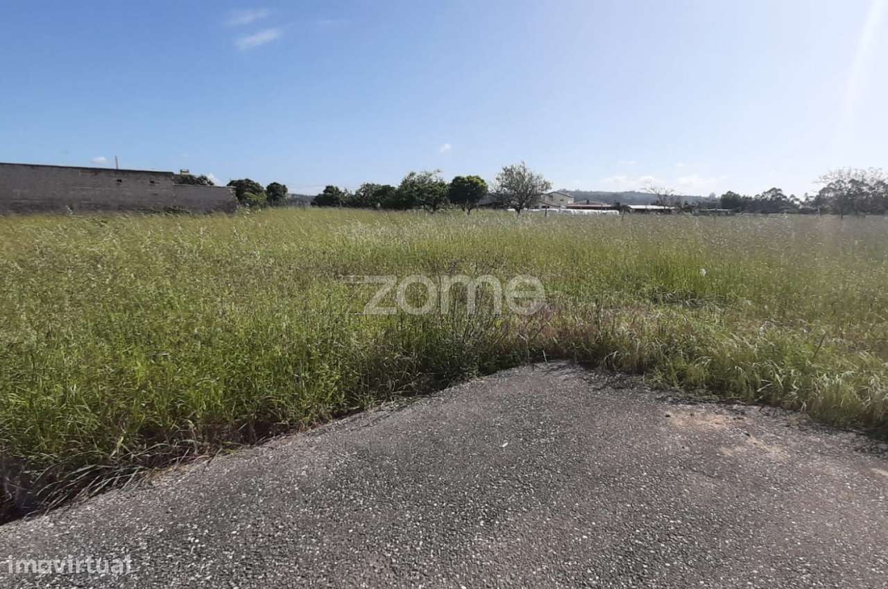 Terreno 1390 m2 | Ereira | Montemor-o-Velho - Grande imagem: 2/16