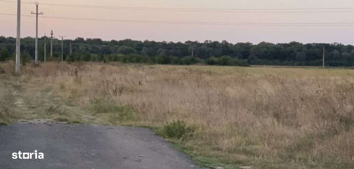 Teren intravilan Peris - Imagine principală: 1/1