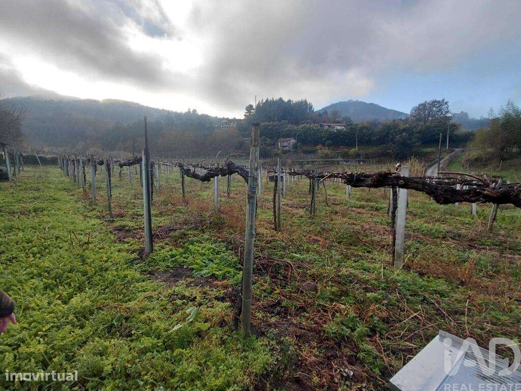 Terreno em Messegães, Valadares e Sá - Grande imagem: 5/6