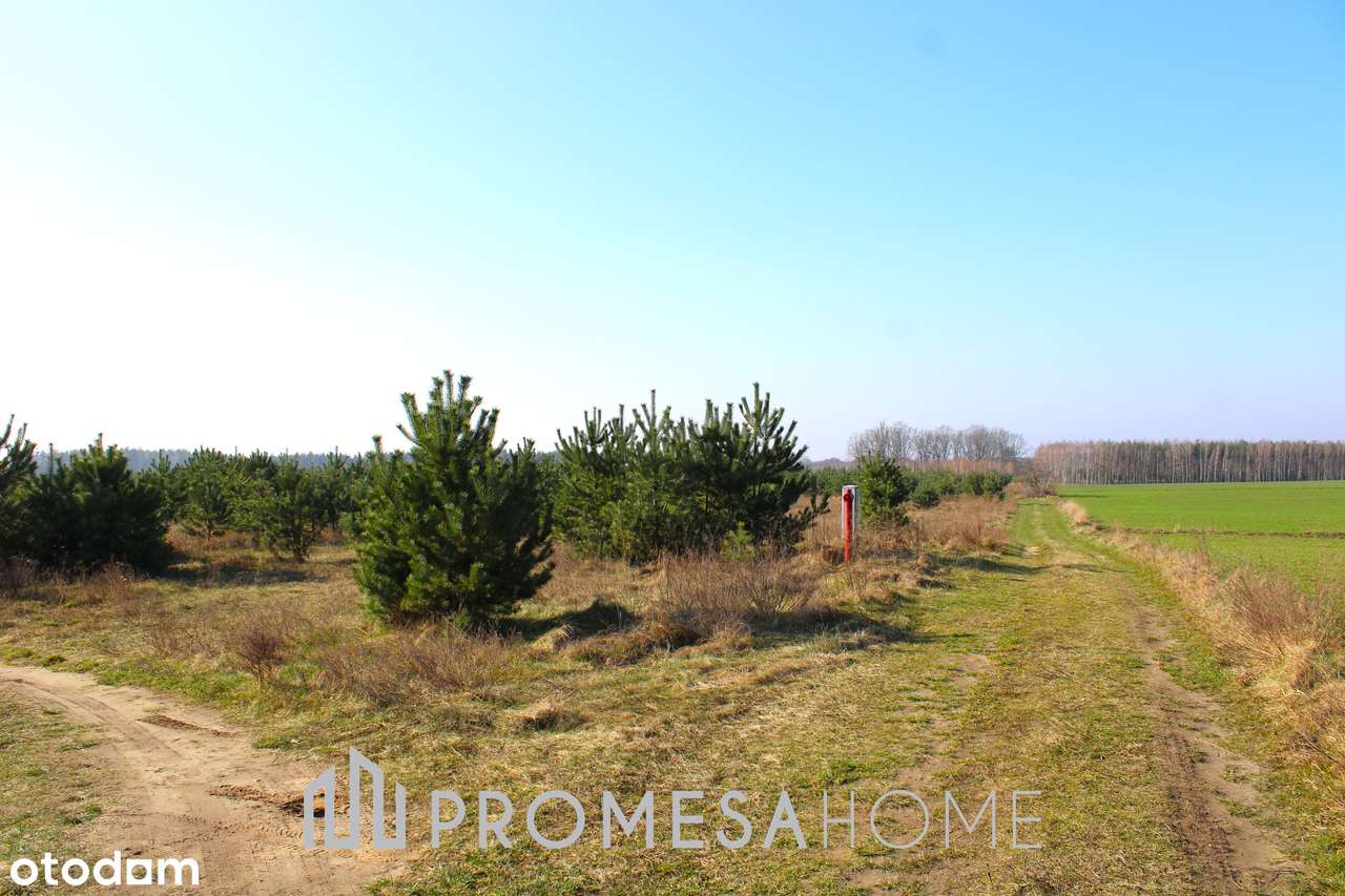 Karczewko działki budowl MPZP media blisko lasu jeziora 70zł/m2 brutto-1