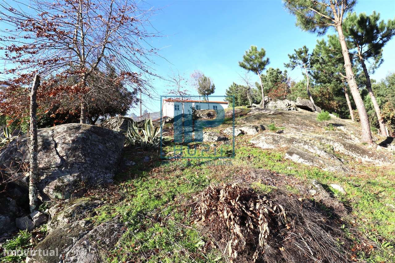 Quinta T3+1 Venda em Penhalonga e Paços de Gaiolo,Marco de Canaveses-28