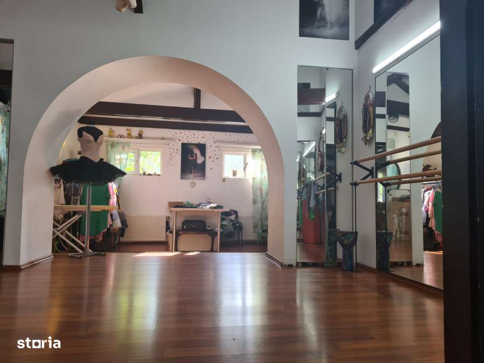 Vila Multifunctionala investitie - zona Basarabia / Arena Nationala-10