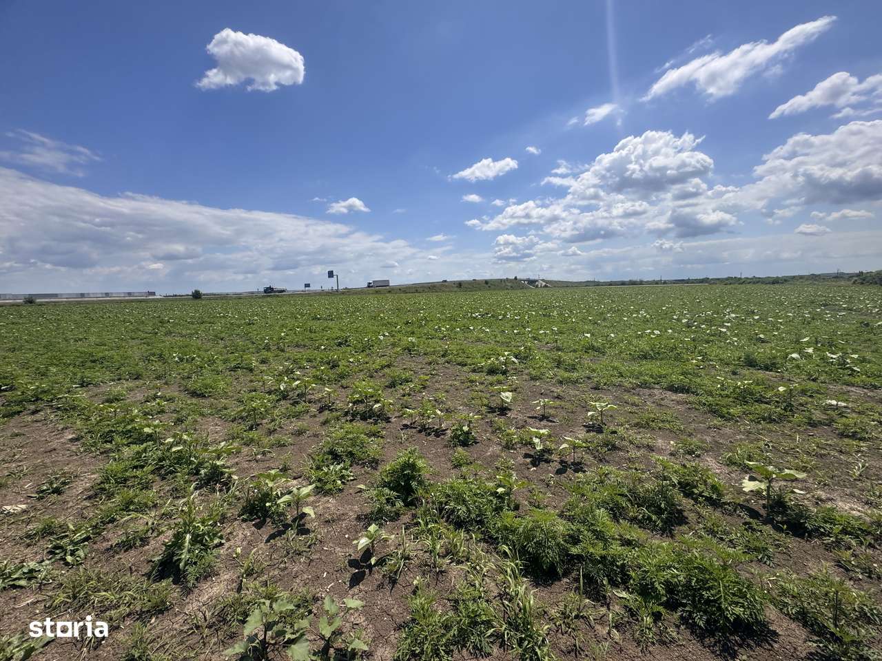 Teren de vanzare – Locatie strategica langa aeroport - Imagine principală: 3/6