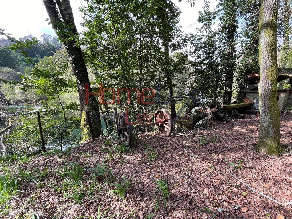 Quinta junto ao Rio Caima-23