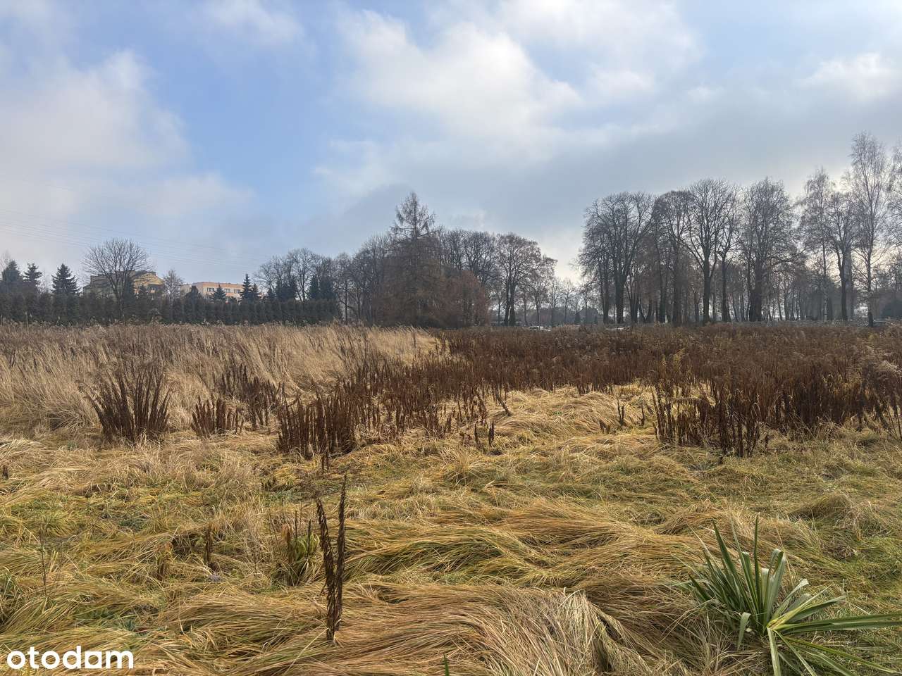 Działki budowlane na sprzedaż – Siemianowice Śląskie, ul. Spokojna 10-9