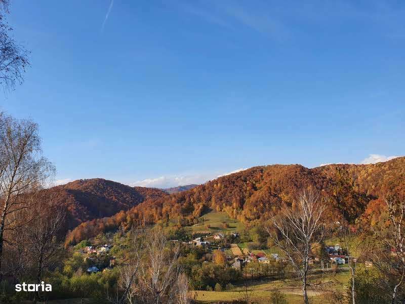 Puciosa Moreni Valea Lunga Sat Izvoru 20000mp teren de vanzare - Imagine principală: 4/20