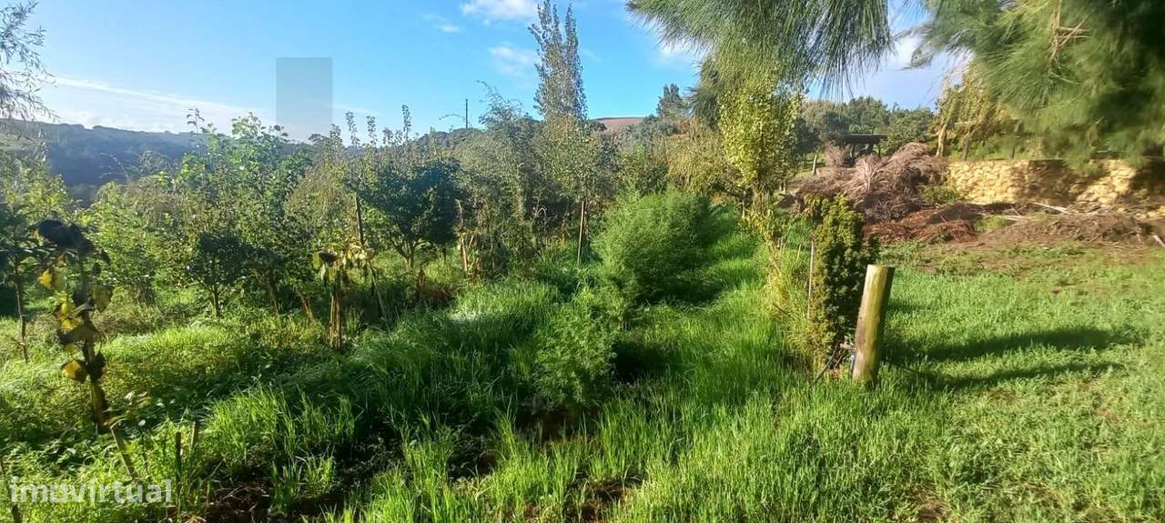 Terreno com Projeto Vivo de Permacultura e Potencial de Construção | P-17