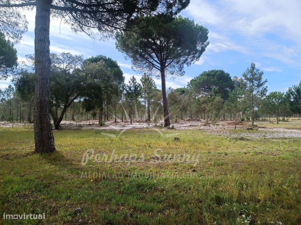 Herdade Bicas - Comporta-9