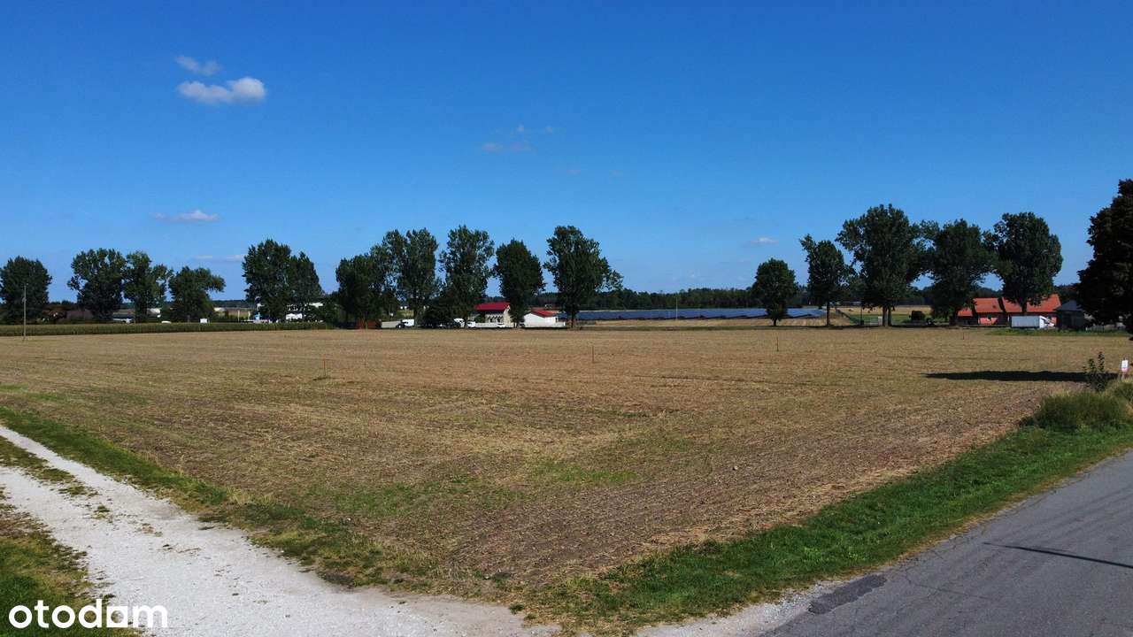 Działka, 1 000 m², Modliszewo - Pełny obrazek: 4/13