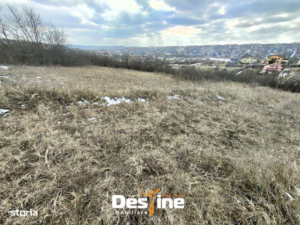 Copou - Viticultori 3 parcele teren intravilan 1417 mp + PUZ - Imagine principală: 5/5