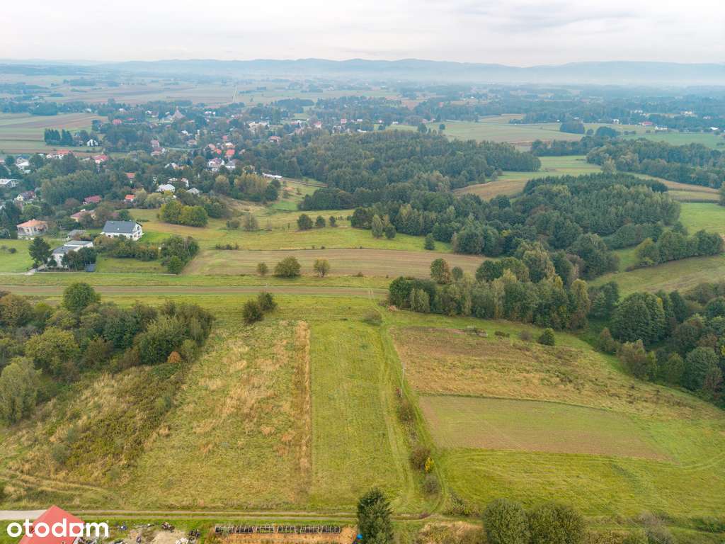 działka budowlana Jaszczew k. Krosna - 22,95 ar - Pełny obrazek: 5/6