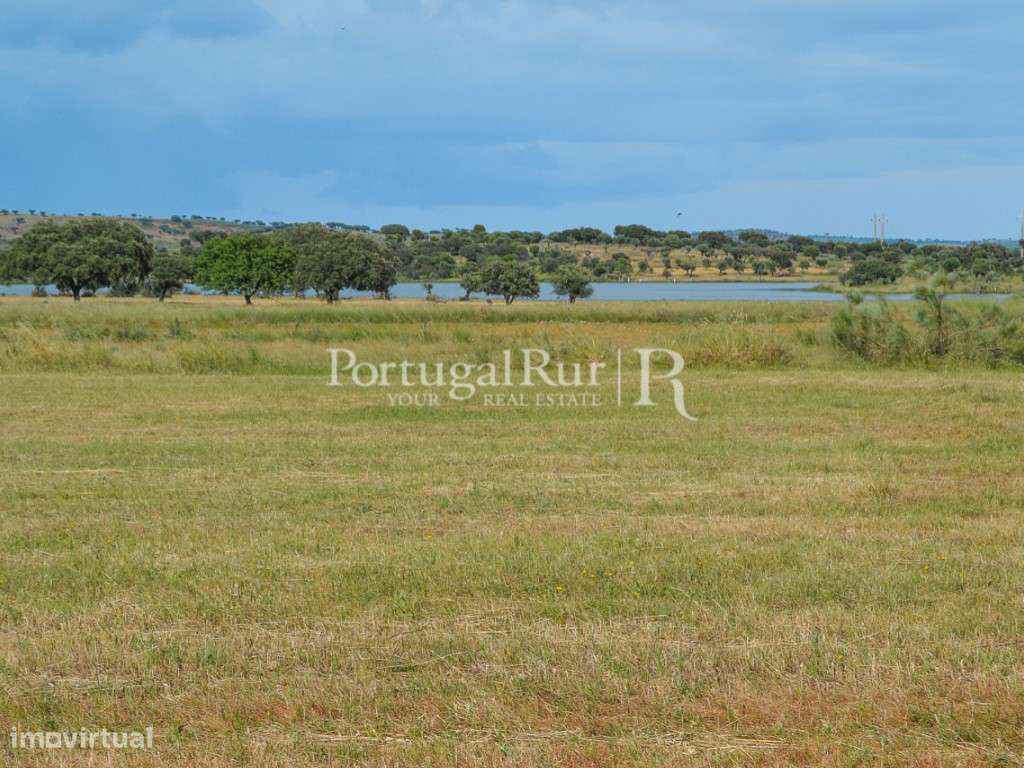 Herdade com 14 hectares na região do Alandroal - Grande imagem: 2/27