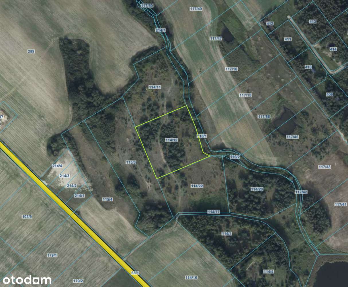 Działka rolna 10140 m2 Nienawiszcz gm. ROGOŹNO-6