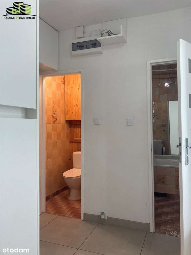 3 niezależne pokoje po remoncie Dobra Lokalizacja - Pełny obrazek: 5/12