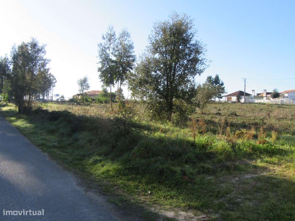 Terreno para construção na zona de Monte Real - Grande imagem: 3/9