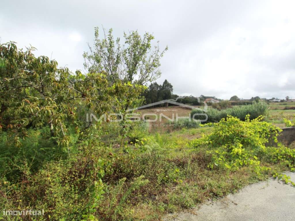 Terreno - Grande imagem: 4/7