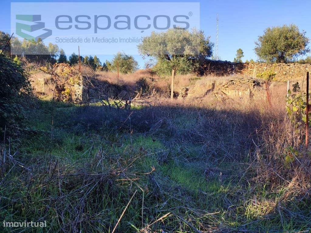 Terrenos agrícolas - Grande imagem: 1/10