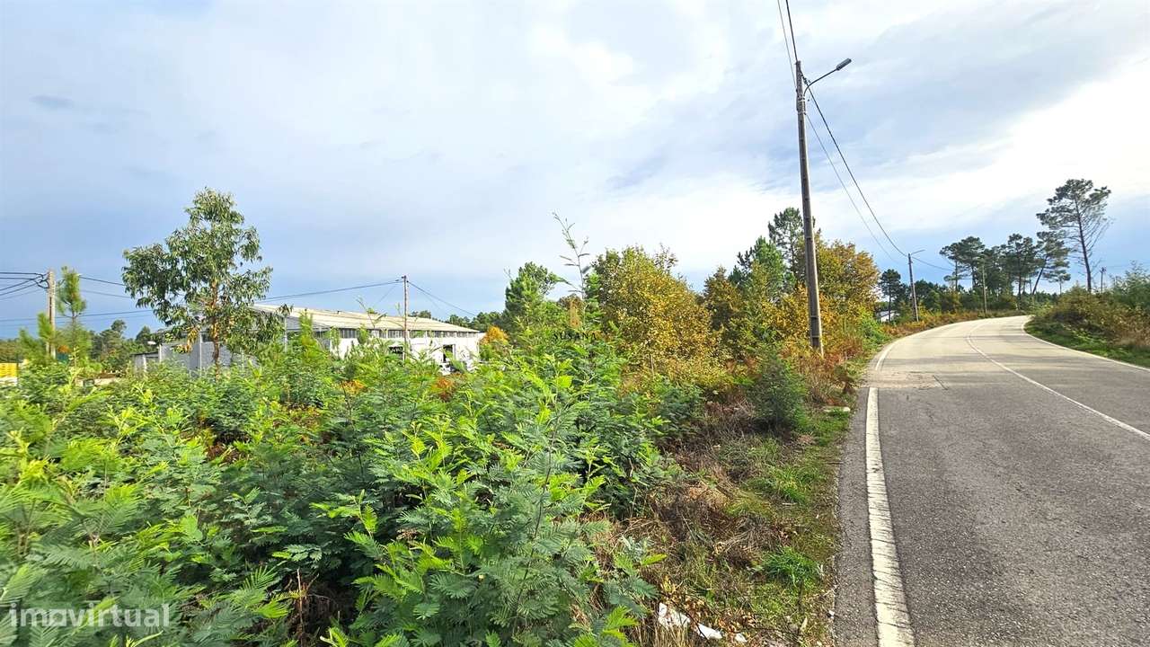 Lote Industrial  Venda em Campo,Viseu - Grande imagem: 4/5