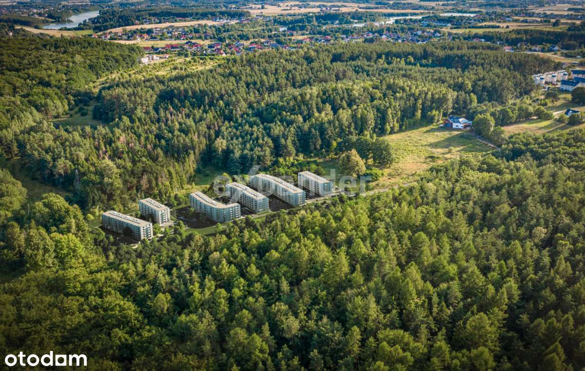 Mieszkanie w otoczeniu lasu - cicha okolica! - Pełny obrazek: 2/9