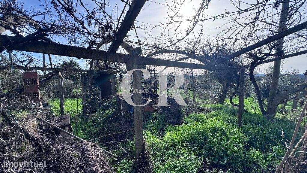 Quinta com casas de pedra para recuperar, poço e furo-28