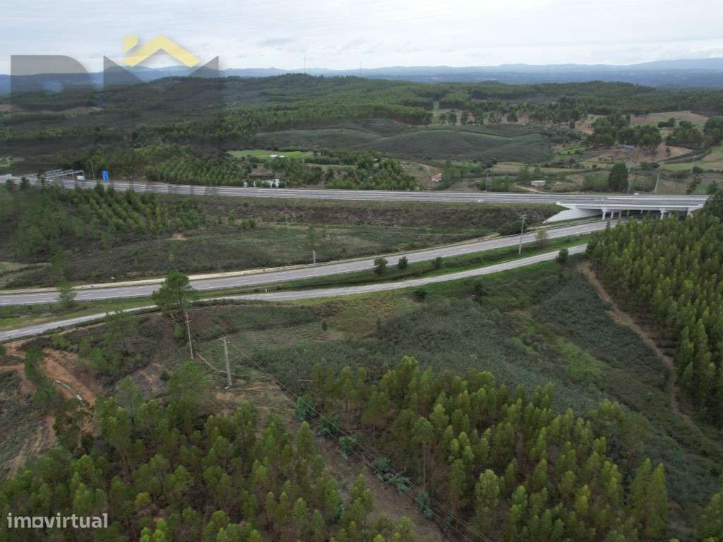 Terreno rústico de 2.38 hectares - Grande imagem: 3/4